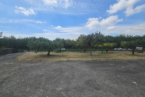 Villa a Pignataro Maggiore, Caserta, Pignataro Maggiore - € 115.000 | Ref: 115000indipendentepignataro - foto 36
