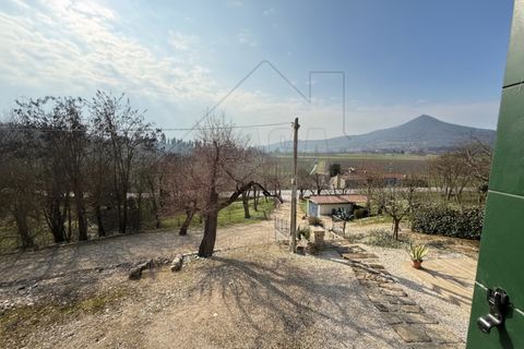 Rækkehus i Cinto Euganeo, Padua, Cinto Euganeo - € 130.000 | Ref: S134 - foto 11