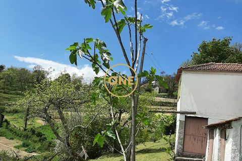 Granja a Baiao, Porto, Baiao - € 65.000 | Ref: ONE91448-31 - foto 3