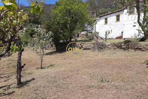 Granja a Baiao, Porto, Baiao - € 65.000 | Ref: ONE91448-31 - foto 5