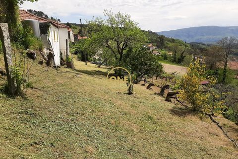 Granja a Baiao, Porto, Baiao - € 65.000 | Ref: ONE91448-31 - foto 6