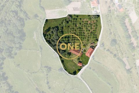 Farm i Vila Verde, Braga, Vila Verde - € 800.000 | Ref: ONE0011026-630 - foto 3