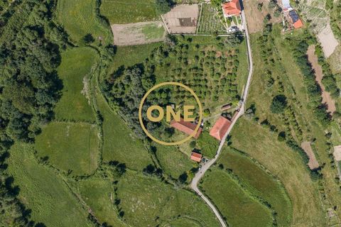 Farm i Vila Verde, Braga, Vila Verde - € 800.000 | Ref: ONE0011026-630 - foto 4