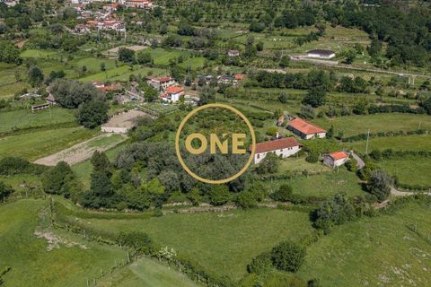 Farm i Vila Verde, Braga, Vila Verde - € 800.000 | Ref: ONE0011026-630 - foto 5