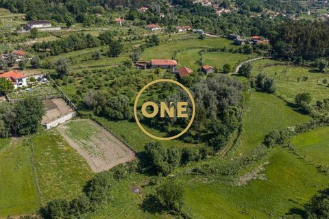 Farm i Vila Verde, Braga, Vila Verde - € 800.000 | Ref: ONE0011026-630 - foto 6
