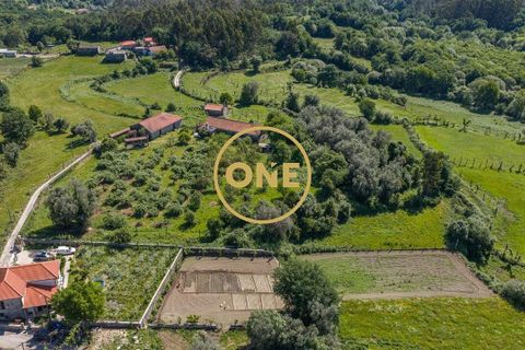 Farm i Vila Verde, Braga, Vila Verde - € 800.000 | Ref: ONE0011026-630 - foto 8
