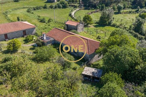 Farm i Vila Verde, Braga, Vila Verde - € 800.000 | Ref: ONE0011026-630 - foto 9