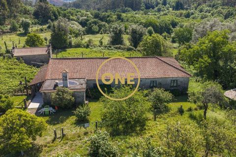 Farm i Vila Verde, Braga, Vila Verde - € 800.000 | Ref: ONE0011026-630 - foto 10