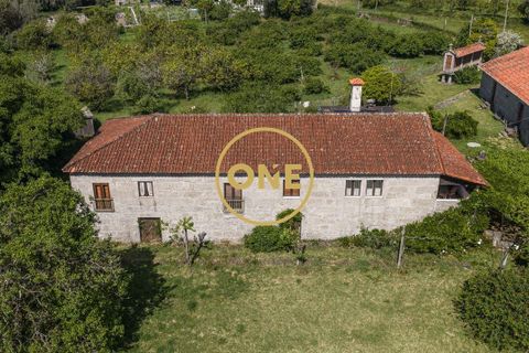 Farm i Vila Verde, Braga, Vila Verde - € 800.000 | Ref: ONE0011026-630 - foto 11
