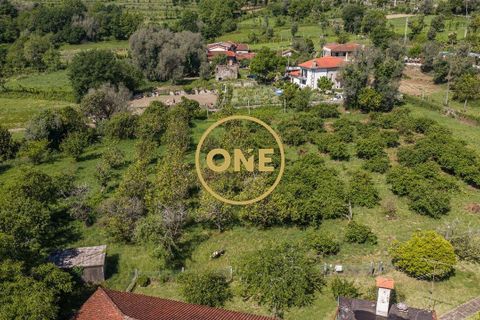 Farm i Vila Verde, Braga, Vila Verde - € 800.000 | Ref: ONE0011026-630 - foto 13