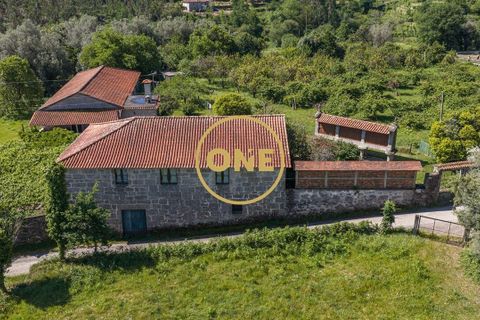 Farm i Vila Verde, Braga, Vila Verde - € 800.000 | Ref: ONE0011026-630 - foto 15