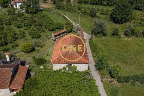 Farm i Vila Verde, Braga, Vila Verde - € 800.000 | Ref: ONE0011026-630 - foto 16