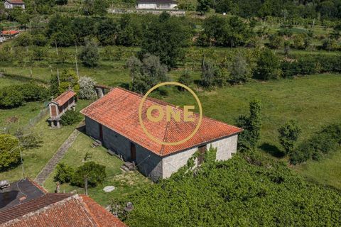 Farm i Vila Verde, Braga, Vila Verde - € 800.000 | Ref: ONE0011026-630 - foto 17