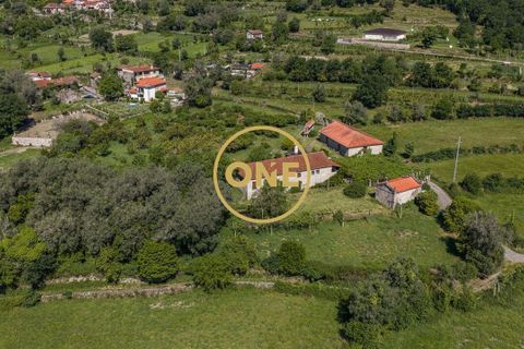Farm i Vila Verde, Braga, Vila Verde - € 800.000 | Ref: ONE0011026-630 - foto 19