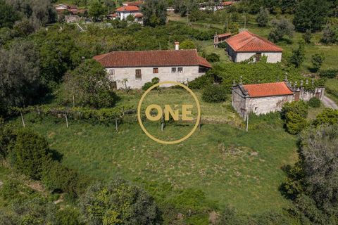 Farm i Vila Verde, Braga, Vila Verde - € 800.000 | Ref: ONE0011026-630 - foto 21