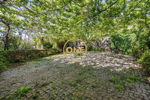 Farm i Vila Verde, Braga, Vila Verde - € 800.000 | Ref: ONE0011026-630 - foto 22