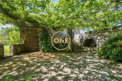 Farm i Vila Verde, Braga, Vila Verde - € 800.000 | Ref: ONE0011026-630 - foto 24