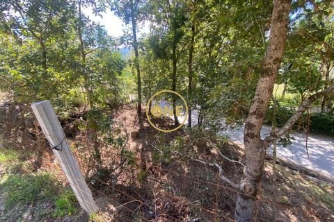 Tomt i Terras de Bouro, Braga, Terras de Bouro - € 32 500 | Ref: ONE141548-38 - foto 2
