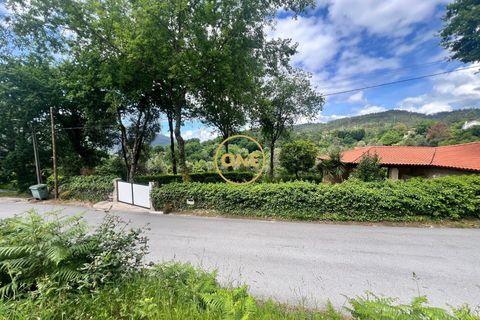 Tomt i Terras de Bouro, Braga, Terras de Bouro - € 32 500 | Ref: ONE141548-38 - foto 6