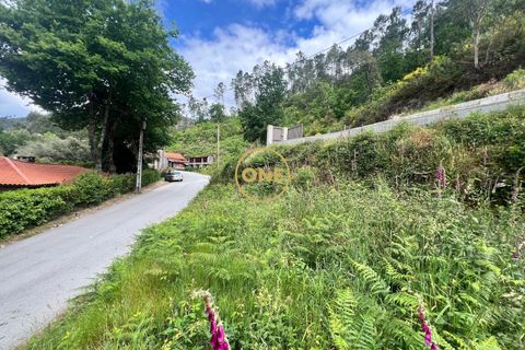 Tomt i Terras de Bouro, Braga, Terras de Bouro - € 32 500 | Ref: ONE141548-38 - foto 7
