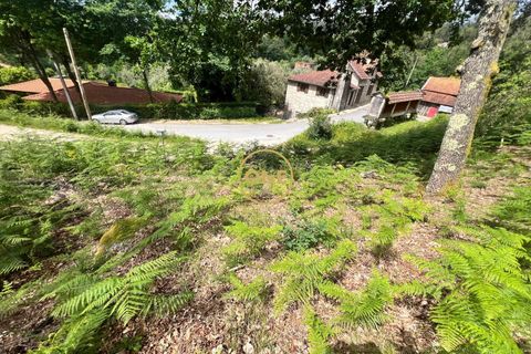 Tomt i Terras de Bouro, Braga, Terras de Bouro - € 32 500 | Ref: ONE141548-38 - foto 8