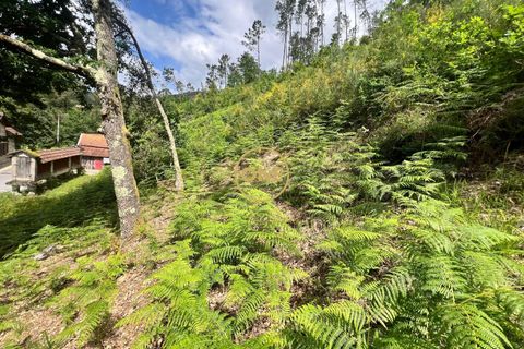 Tomt i Terras de Bouro, Braga, Terras de Bouro - € 32 500 | Ref: ONE141548-38 - foto 9