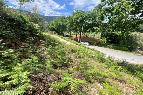 Tomt i Terras de Bouro, Braga, Terras de Bouro - € 32 500 | Ref: ONE141548-38 - foto 10