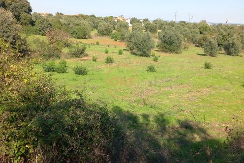 Helårsgrund i Tomar, Santarem, Tomar - € 15.000 | Ref: ONE501995-9 - foto 1