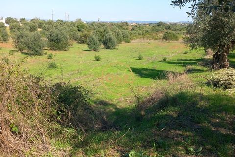 Helårsgrund i Tomar, Santarem, Tomar - € 15.000 | Ref: ONE501995-9 - foto 2