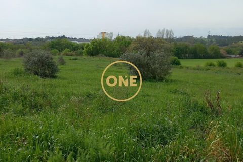 Helårsgrund i Tomar, Santarem, Tomar - € 15.000 | Ref: ONE501995-9 - foto 4