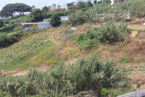 Helårsgrund i Mafra, Lisbon, Mafra - € 169.000 | Ref: ONE422004-1 - foto 4