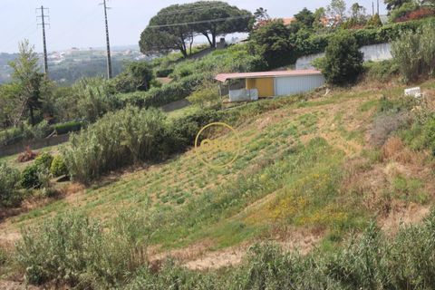 Helårsgrund i Mafra, Lisbon, Mafra - € 169.000 | Ref: ONE422004-1 - foto 8