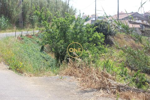 Helårsgrund i Mafra, Lisbon, Mafra - € 169.000 | Ref: ONE422004-1 - foto 10