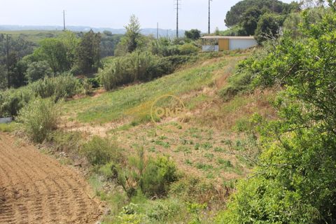 Helårsgrund i Mafra, Lisbon, Mafra - € 169.000 | Ref: ONE422004-1 - foto 11