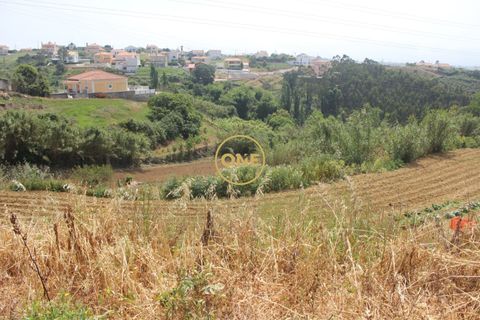 Helårsgrund i Mafra, Lisbon, Mafra - € 169.000 | Ref: ONE422004-1 - foto 13
