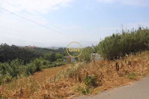 Helårsgrund i Mafra, Lisbon, Mafra - € 169.000 | Ref: ONE422004-1 - foto 19