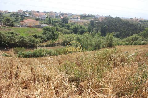 Helårsgrund i Mafra, Lisbon, Mafra - € 169.000 | Ref: ONE422004-1 - foto 20