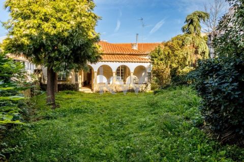 Villa i Penamacor, Castelo Branco, Penamacor - € 200.000 | Ref: KWPT-009027 - foto 9