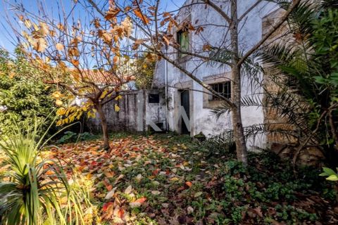 Villa i Penamacor, Castelo Branco, Penamacor - € 200.000 | Ref: KWPT-009027 - foto 11
