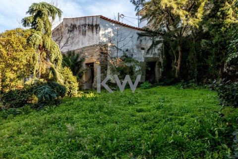 Villa i Penamacor, Castelo Branco, Penamacor - € 200.000 | Ref: KWPT-009027 - foto 12