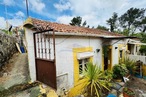 Lejlighed i Belas, Lisbon, Belas - € 290.000 | Ref: AP7503 - foto 2