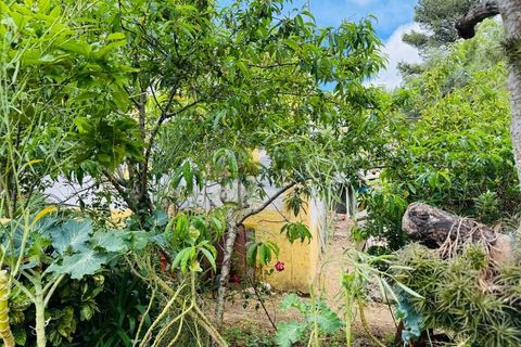 Lejlighed i Belas, Lisbon, Belas - € 290.000 | Ref: AP7503 - foto 3