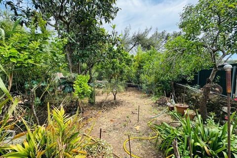 Lejlighed i Belas, Lisbon, Belas - € 290.000 | Ref: AP7503 - foto 5