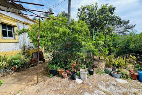 Lejlighed i Belas, Lisbon, Belas - € 290.000 | Ref: AP7503 - foto 6