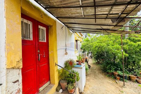 Lejlighed i Belas, Lisbon, Belas - € 290.000 | Ref: AP7503 - foto 7