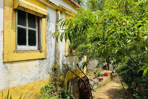 Lejlighed i Belas, Lisbon, Belas - € 290.000 | Ref: AP7503 - foto 8