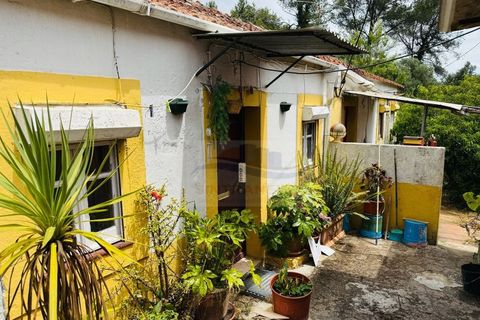Lejlighed i Belas, Lisbon, Belas - € 290.000 | Ref: AP7503 - foto 9