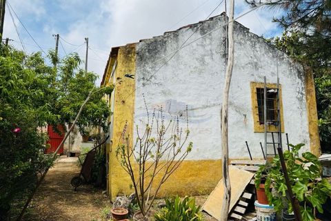 Lejlighed i Belas, Lisbon, Belas - € 290.000 | Ref: AP7503 - foto 12