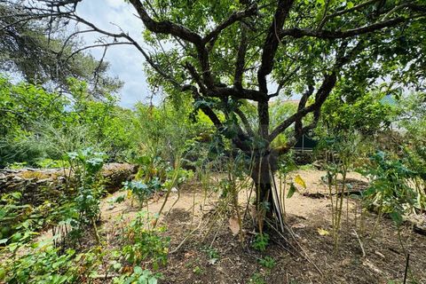 Lejlighed i Belas, Lisbon, Belas - € 290.000 | Ref: AP7503 - foto 13