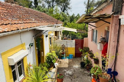Lejlighed i Belas, Lisbon, Belas - € 290.000 | Ref: AP7503 - foto 14